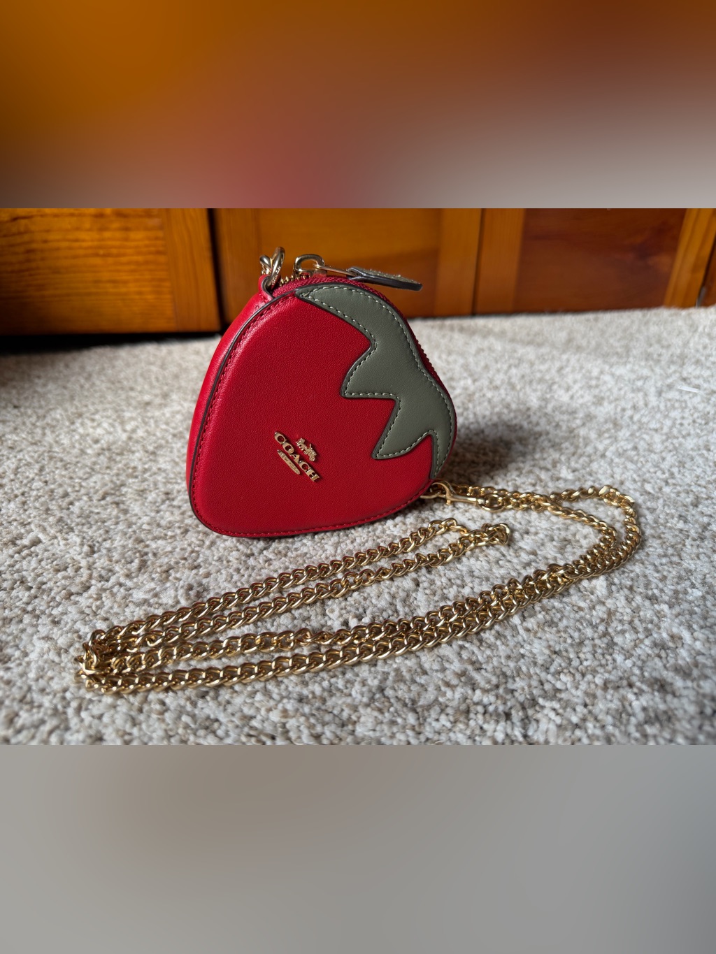 Coach Red & Green Leather Strawberry Gold Chain Crossbody Coin Bag Purse